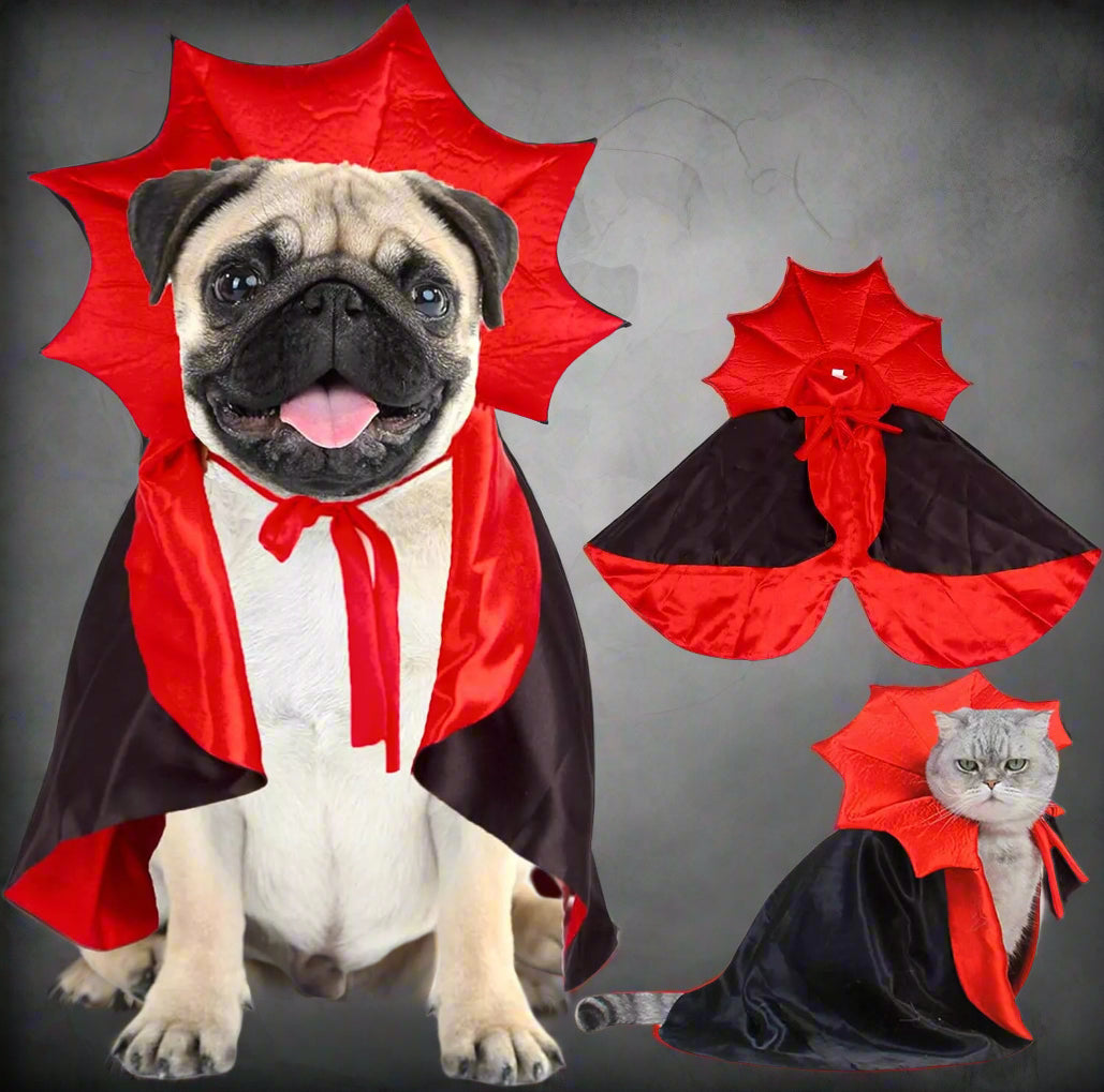 Spooky Vampire Costume for Dogs - Image 8