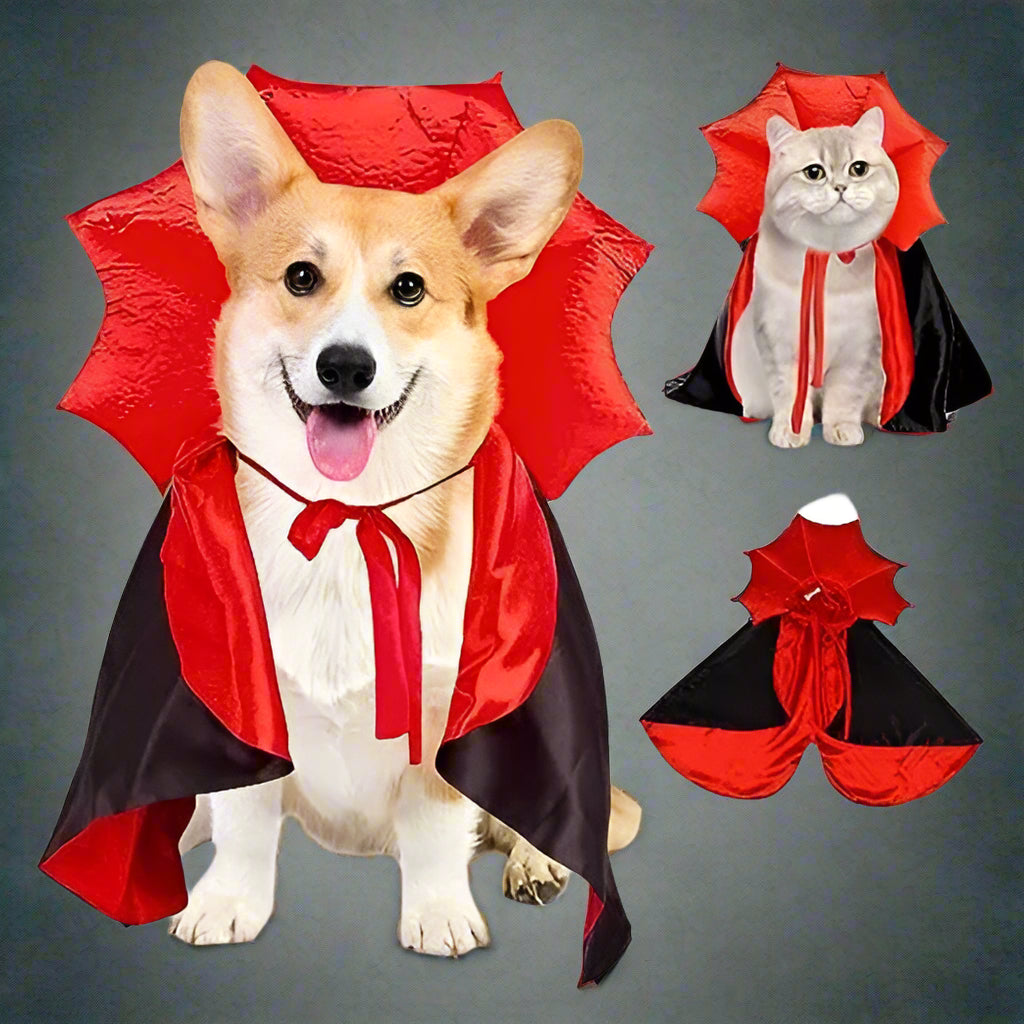 Spooky Vampire Costume for Dogs - Image 7