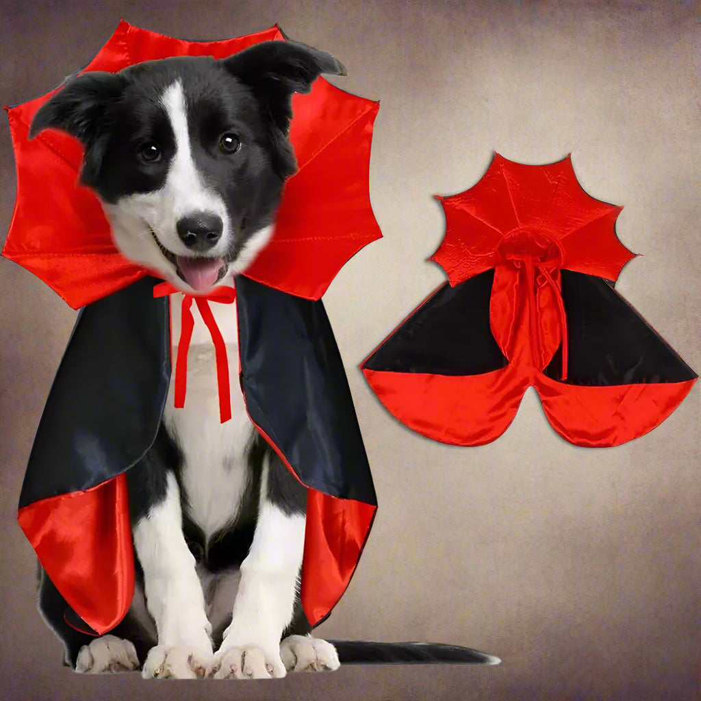 Spooky Vampire Costume for Dogs - Image 6
