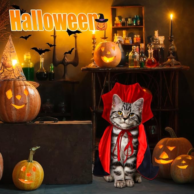 Charming Vampire Costume for Cats - Image 2
