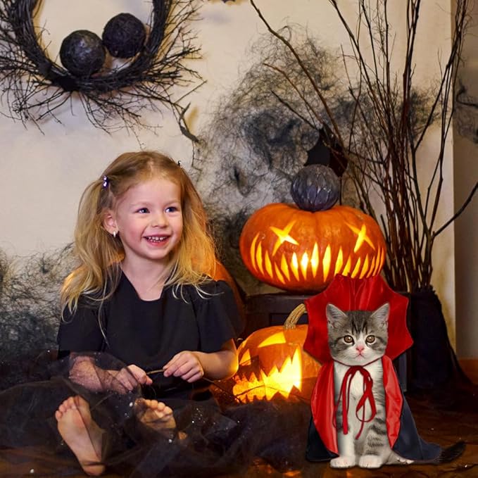 Charming Vampire Costume for Cats - Image 4