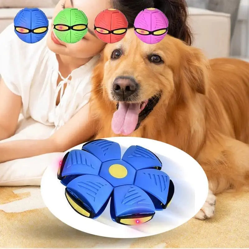 Gioco per Cani Dischetto Volante Interattivo in Gomma Pallina