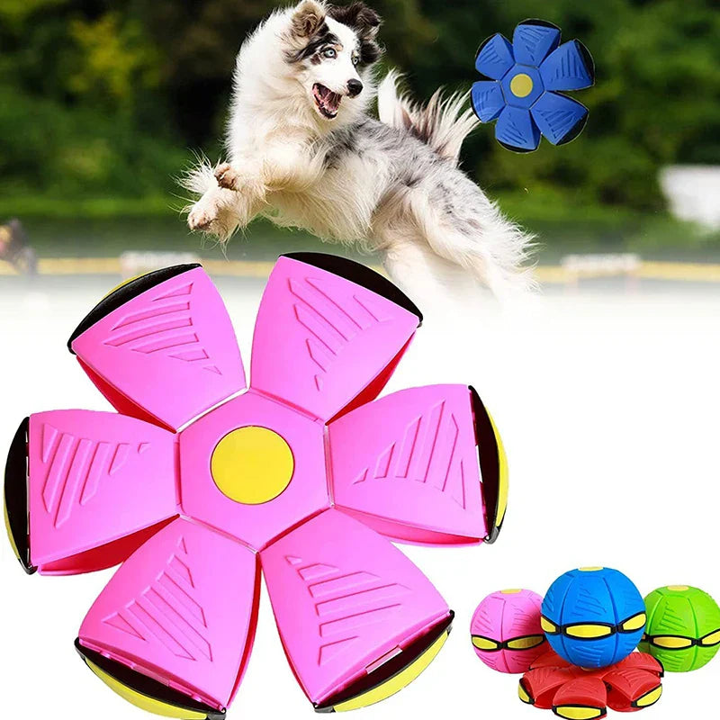 Gioco per Cani Dischetto Volante Interattivo in Gomma Pallina