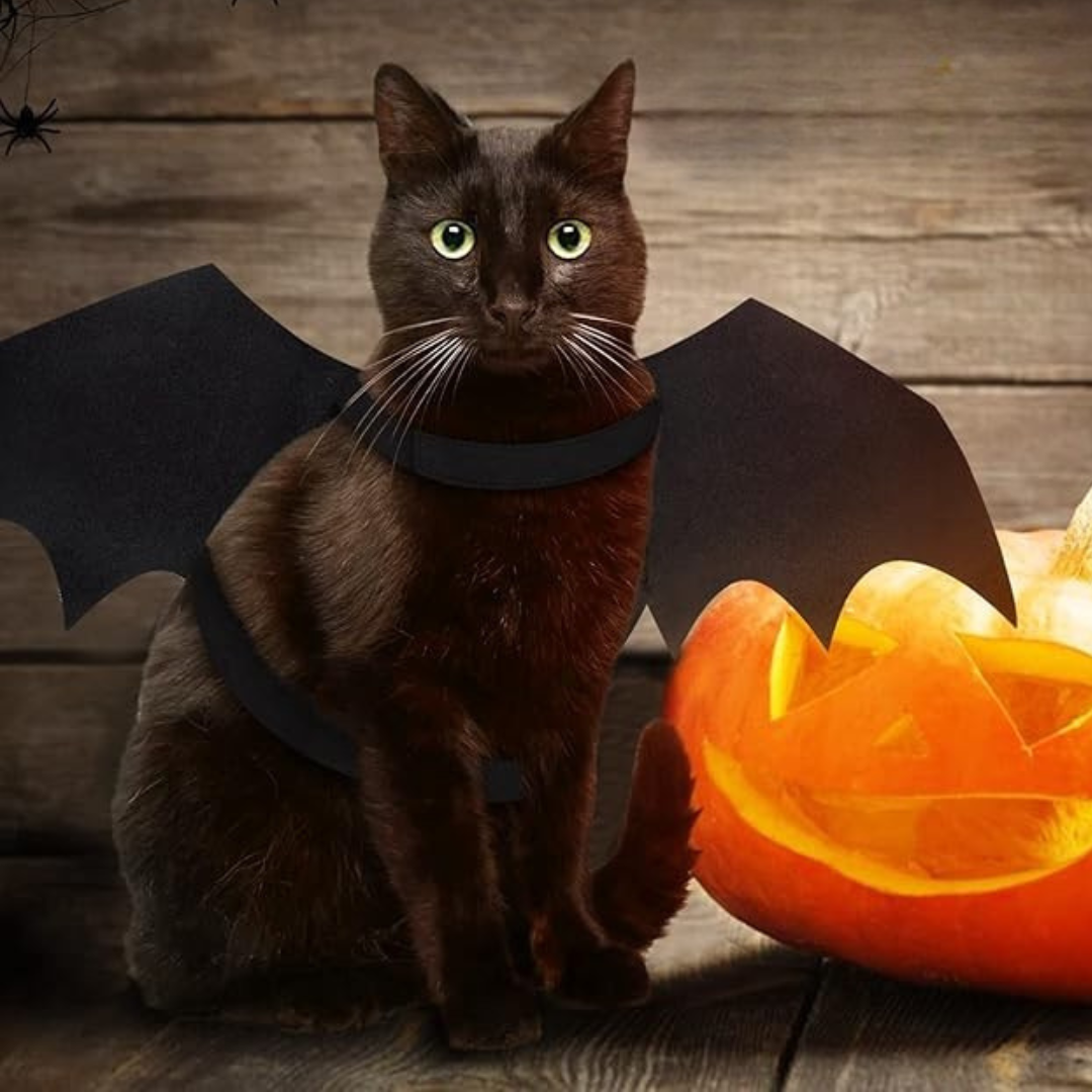 Alas de murciélago para mascotas espeluznantes de Halloween