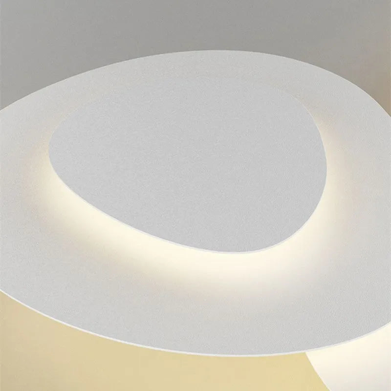 Ceiling Light Modern LED Metal Fixture