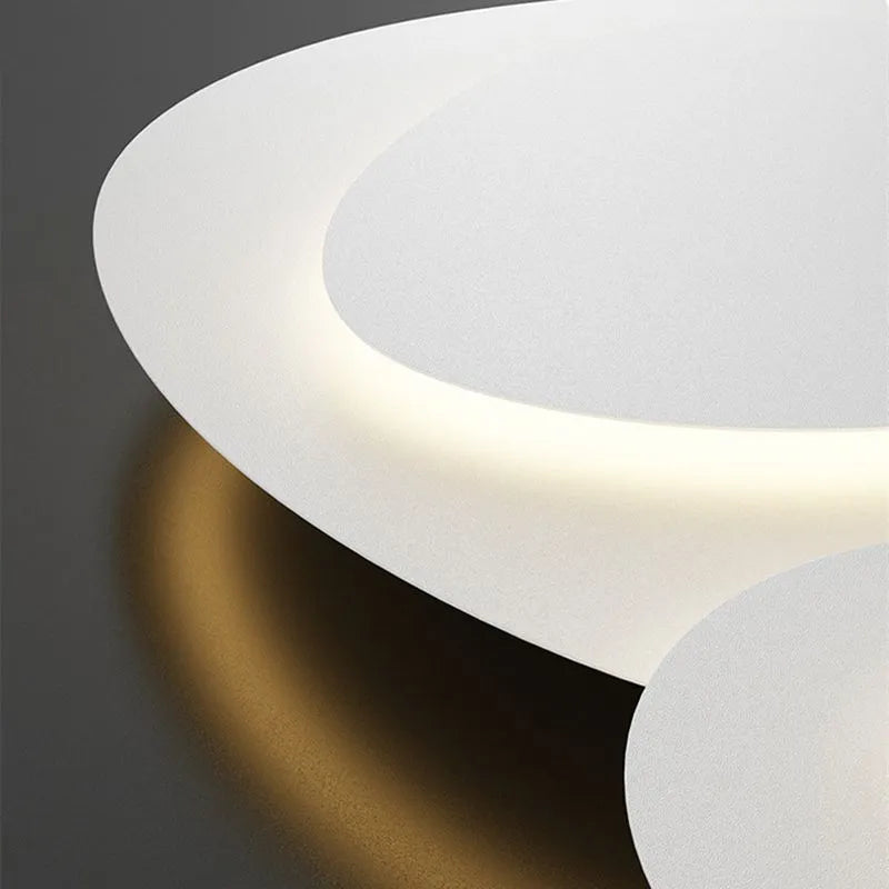 Ceiling Light Modern LED Metal Fixture