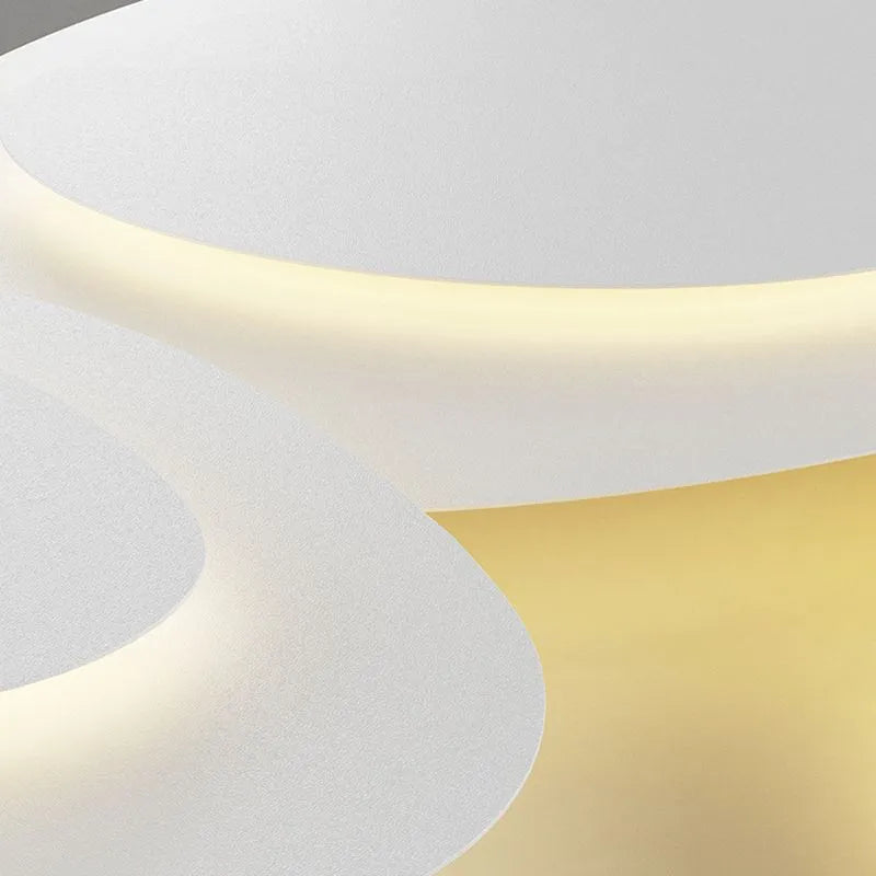 Ceiling Light Modern LED Metal Fixture