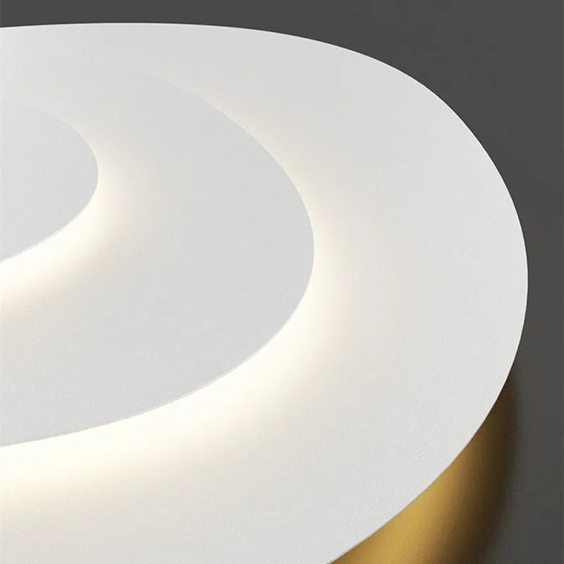 Ceiling Light Modern LED Metal Fixture