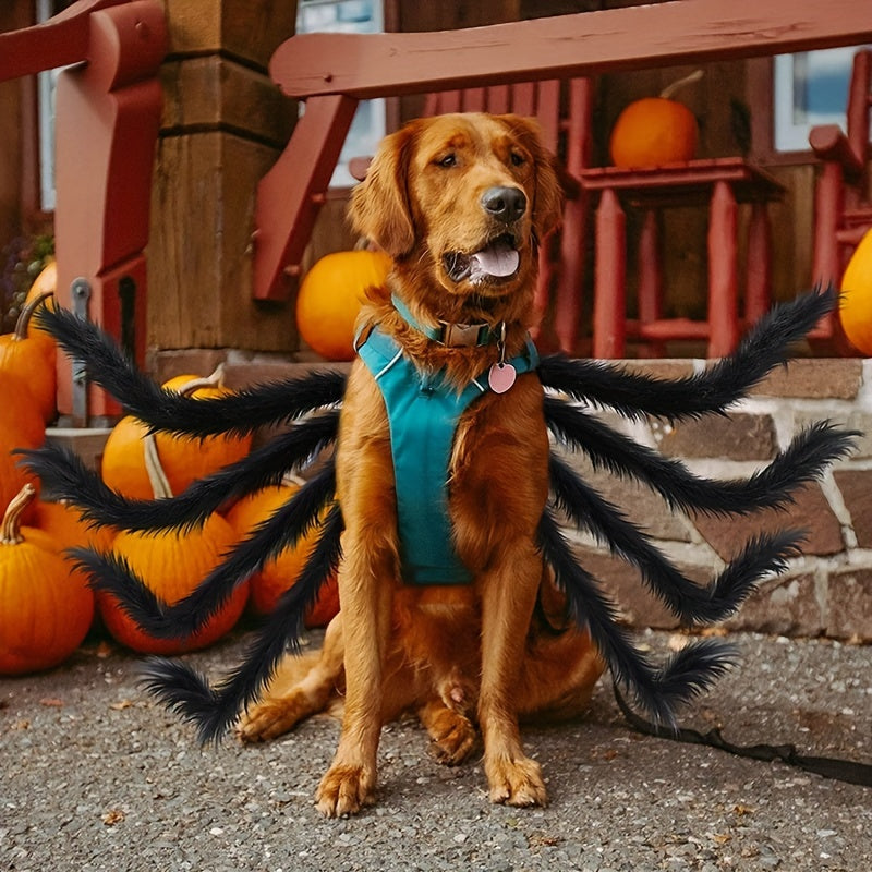 Lustiges pelziges Hundehalloween-Kostüm | Spinnendesign