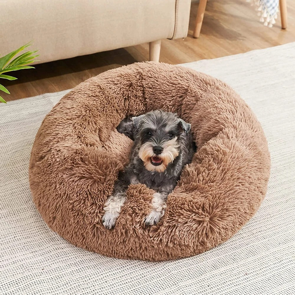 comfortable-dog-sleeping-cushi-11-4qu75f