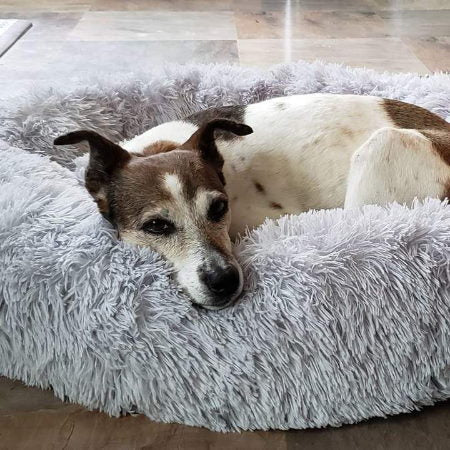comfortable-dog-sleeping-cushi-5-jbxa56
