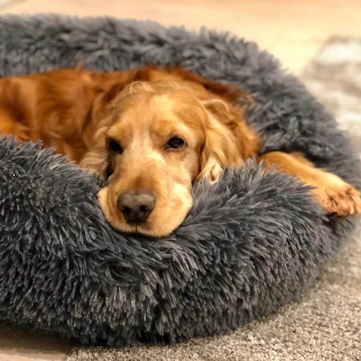 comfortable-dog-sleeping-cushi-6-gygit7