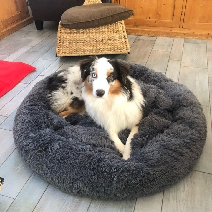 comfortable-dog-sleeping-cushi-8-w7zc40