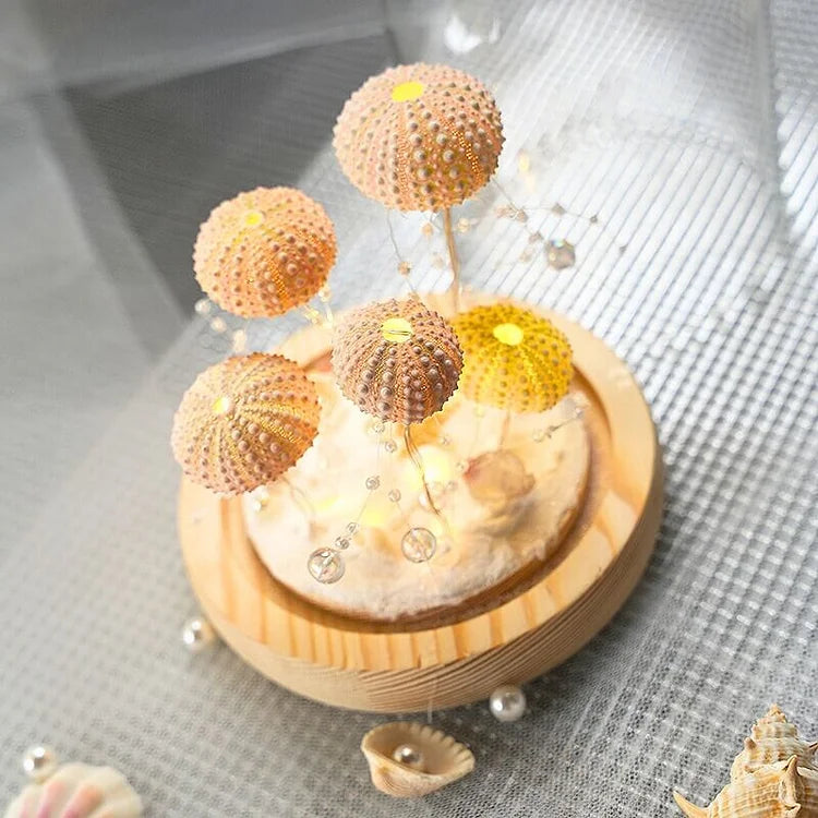creative-vintage-sea-urchin-ta-10-8l5u9j