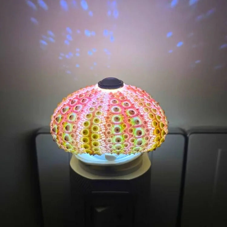 creative-vintage-sea-urchin-ta-14-tniv6i
