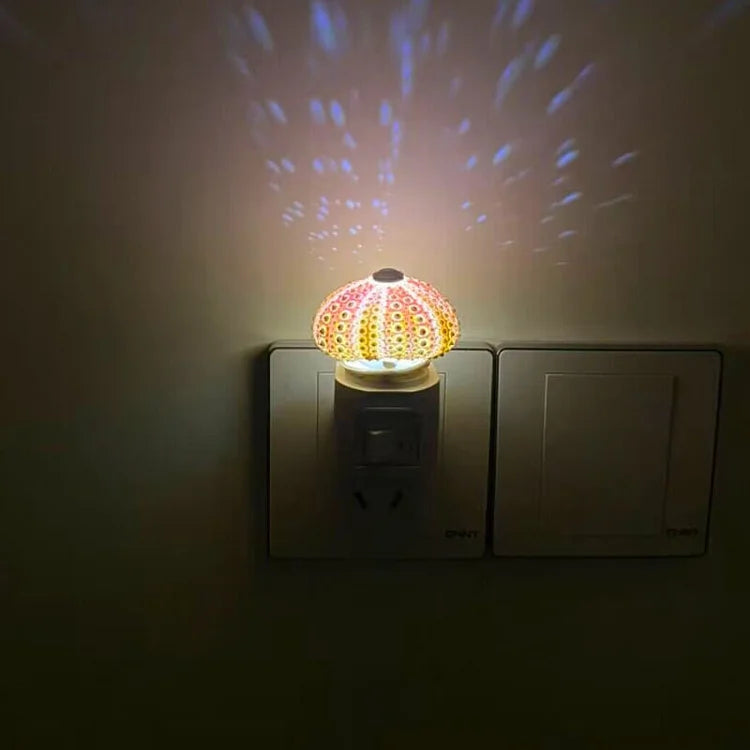 creative-vintage-sea-urchin-ta-15-bgv4ic