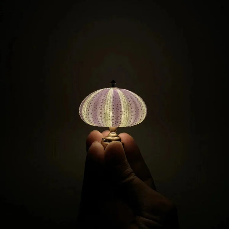 creative-vintage-sea-urchin-ta-4-ewf4px