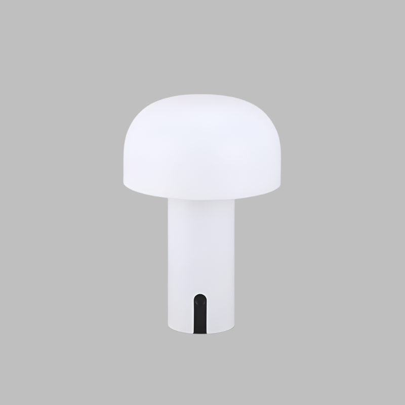 elegant-wireless-touch-control-13-kkn67f