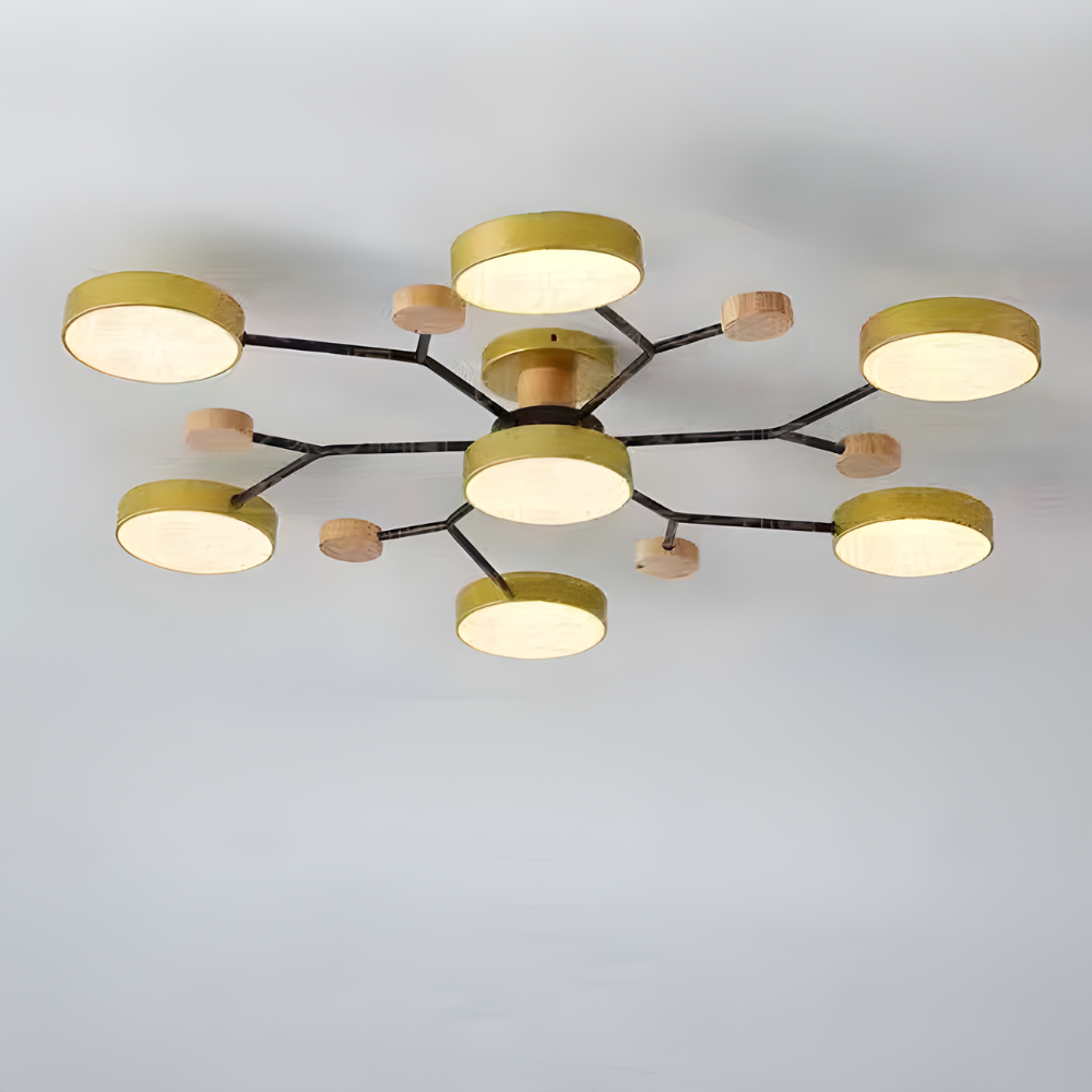 Ceiling Light Modern LED Flush Mount Chandelier