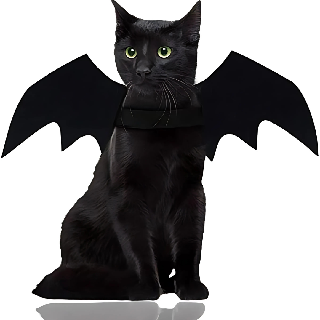Alas de murciélago para mascotas espeluznantes de Halloween