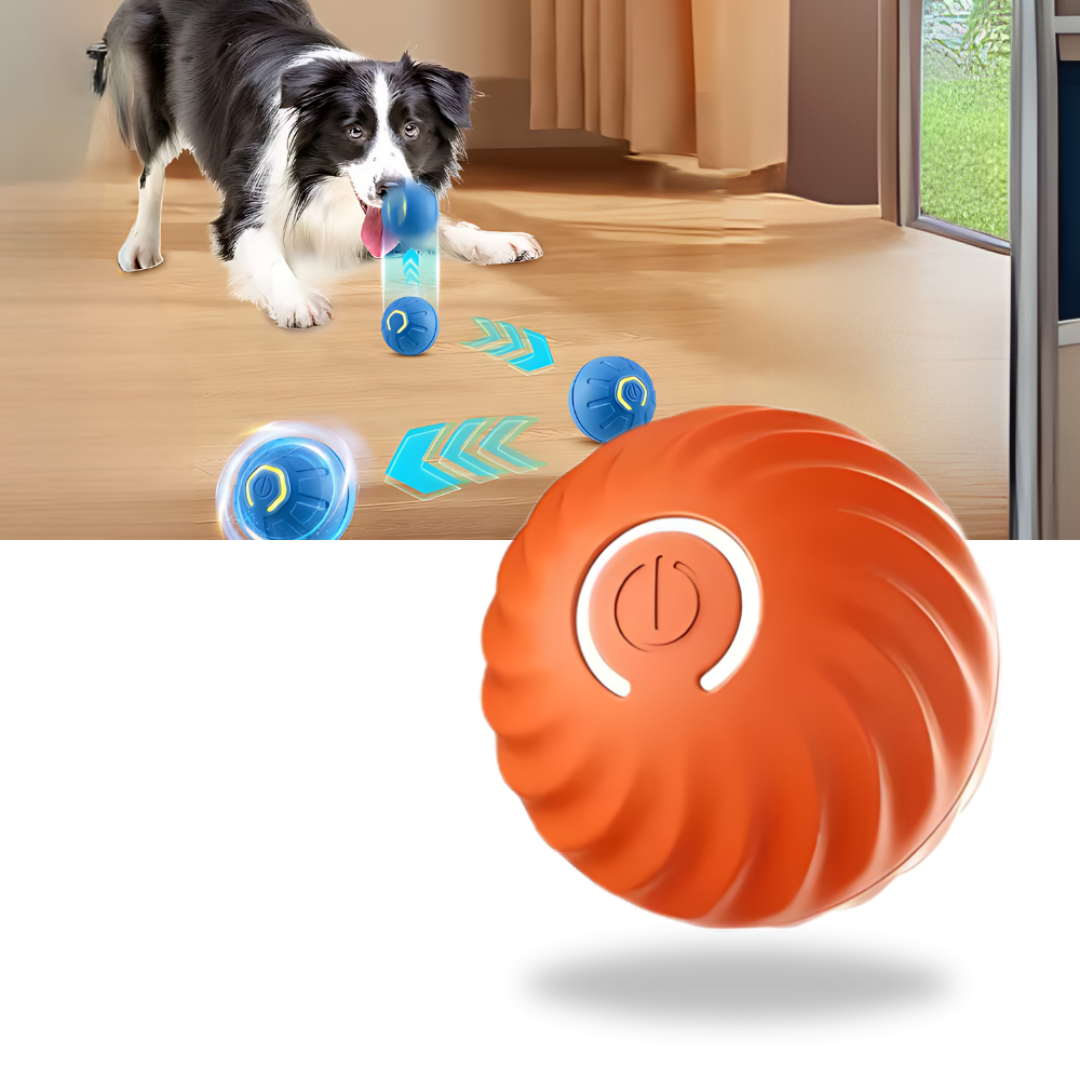 Jouet interactif intelligent balle pour chien