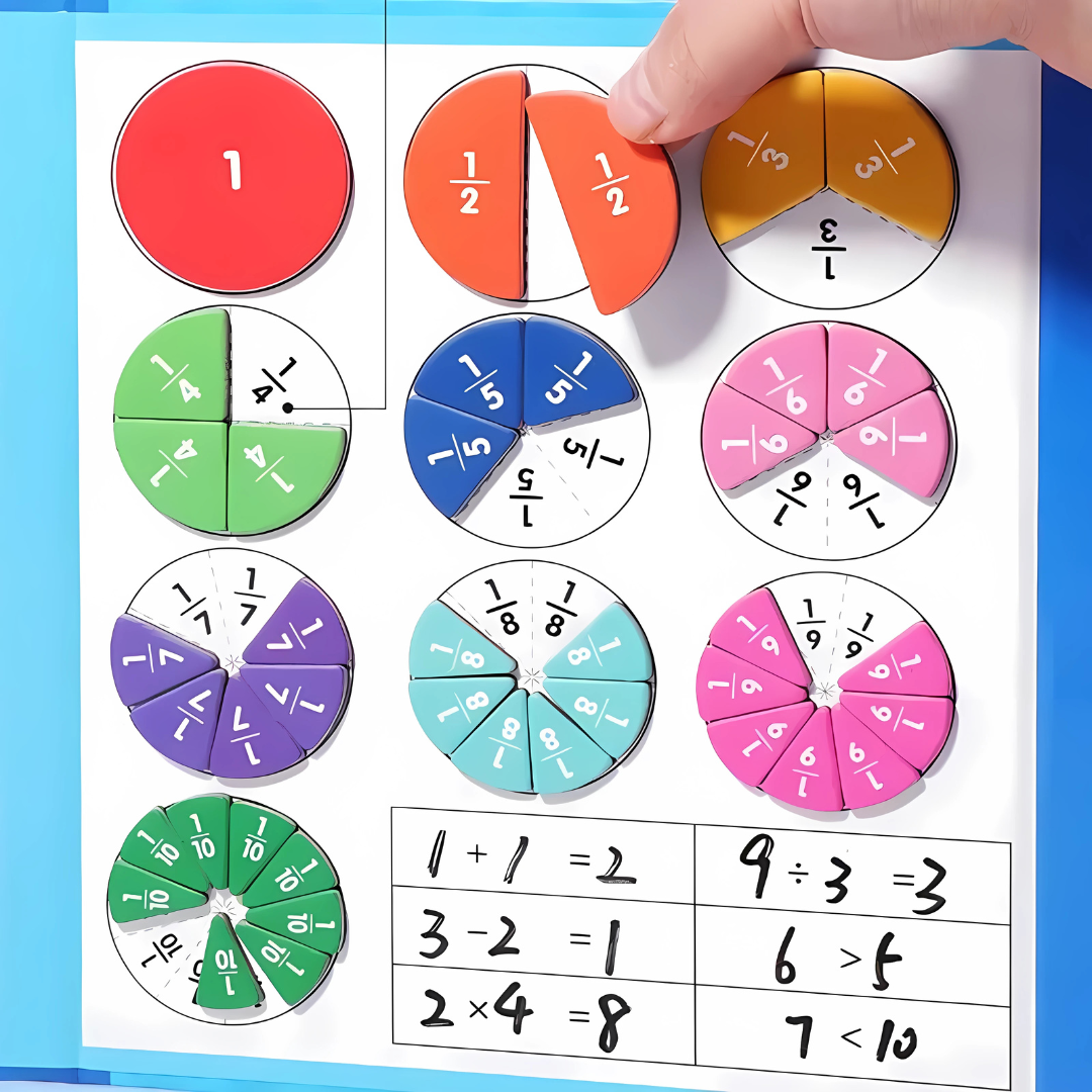 Maths Fraction Learning Educational Toy