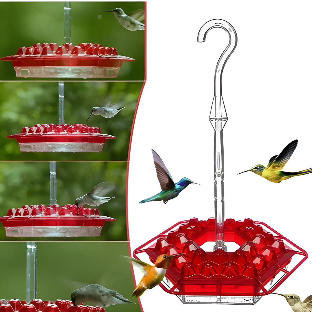 Mangeoire suspendue pour colibris de jardin
