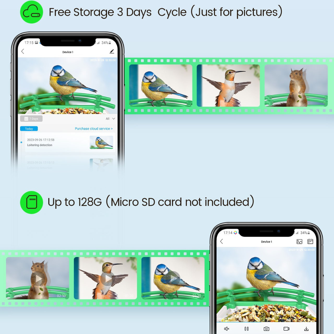 Bird Feeder with Camera and Solar Power