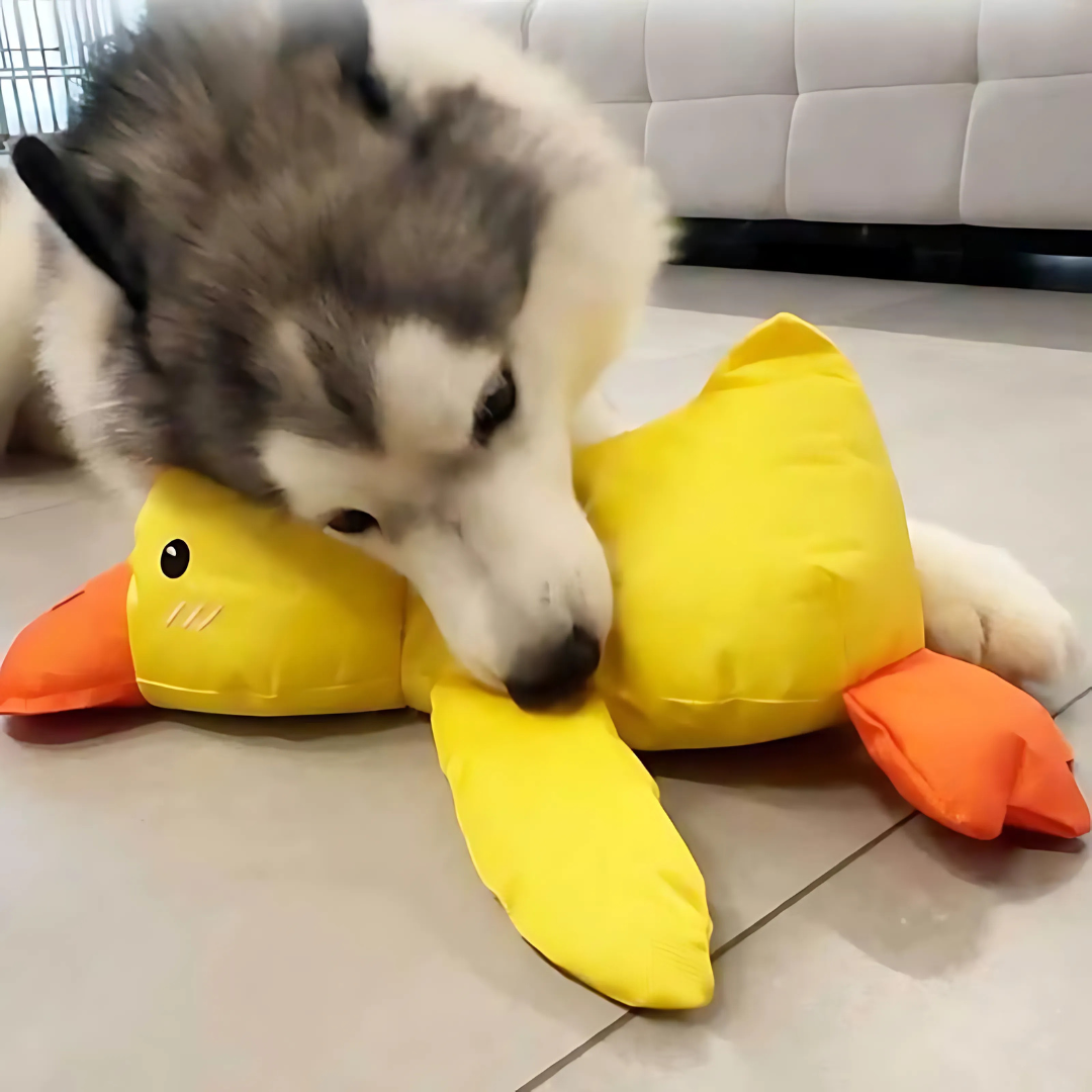 Giocattolo da masticare per cani tessuto resistente durevole