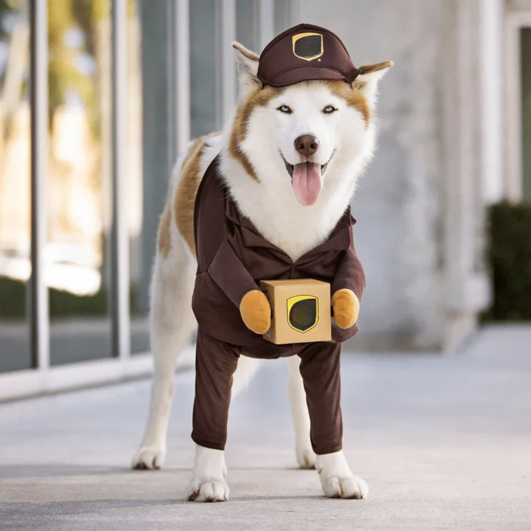 Disfraz de perro para Halloween con atuendo de repartidor