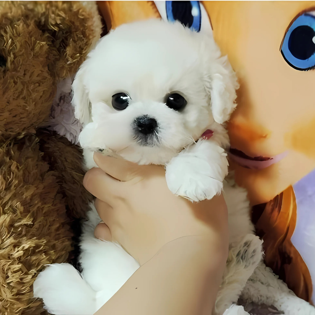 Cojín de abrazo Juguete de cachorro de peluche realista