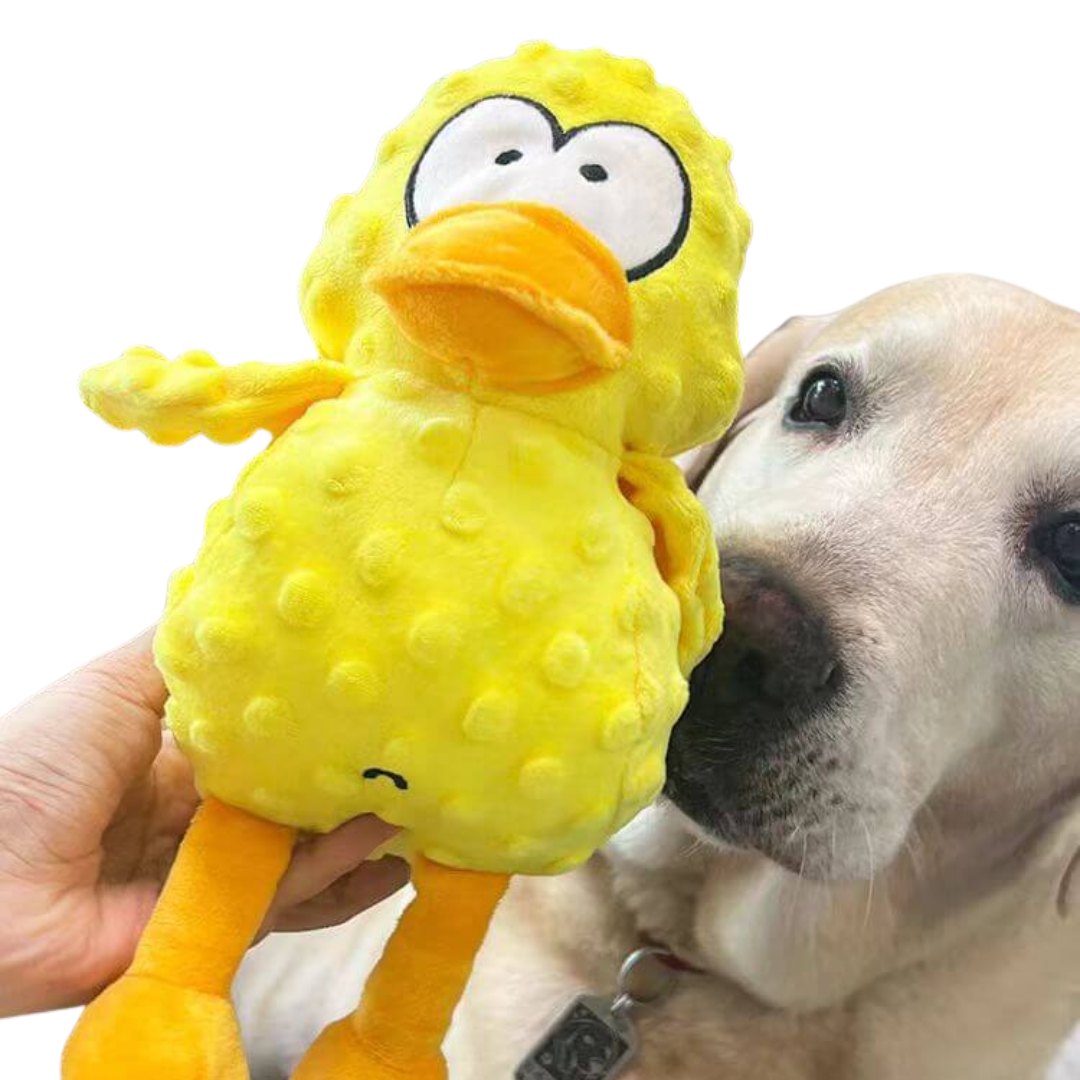 Giocattolo da masticare per cani in peluche resistente e con squeaky