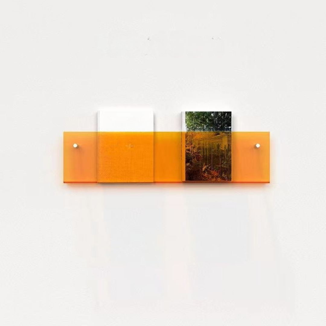 Wall Shelf Clear Acrylic Magazine Holder