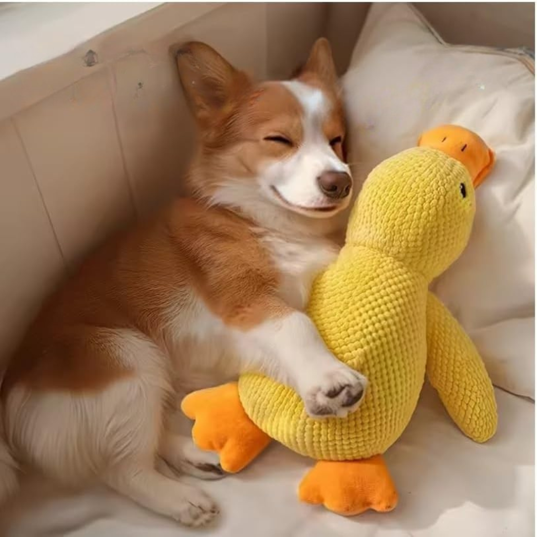 Giocattolo per Cani Anatra di Peluche Stimolazione Mentale