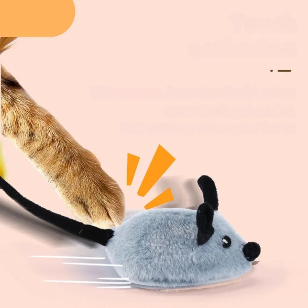 Cat Toy Interactive Plush Mouse with Tail