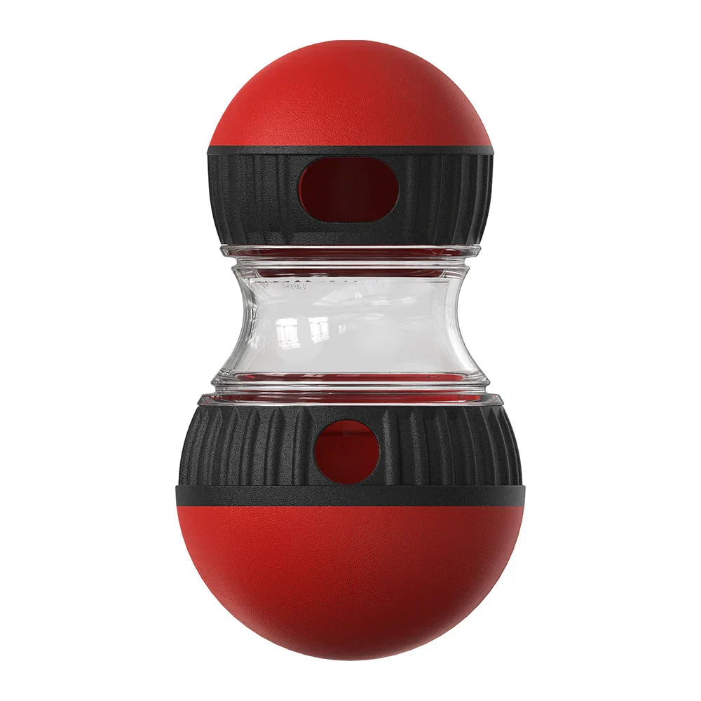 interactive-pet-intelligence-t-4-t5m6xo