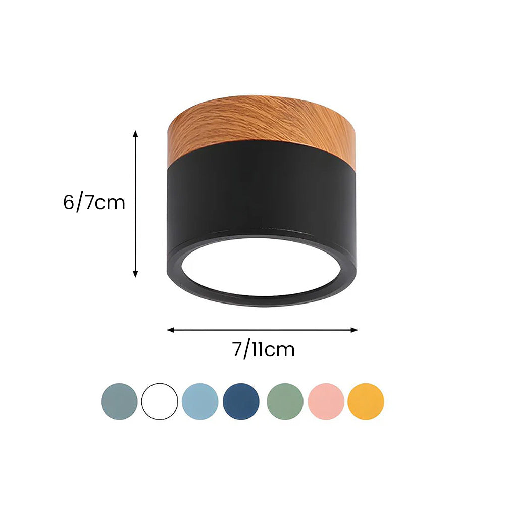 LED Ceiling Light Modern Flush Mount Cylinder