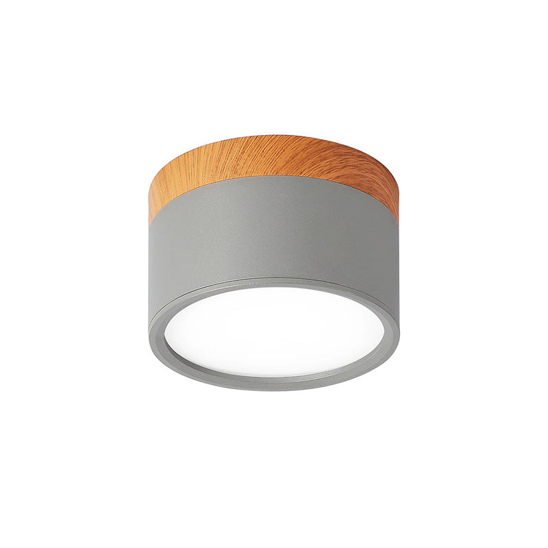 LED Ceiling Light Modern Flush Mount Cylinder