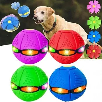 Gioco per Cani Dischetto Volante Interattivo in Gomma Pallina
