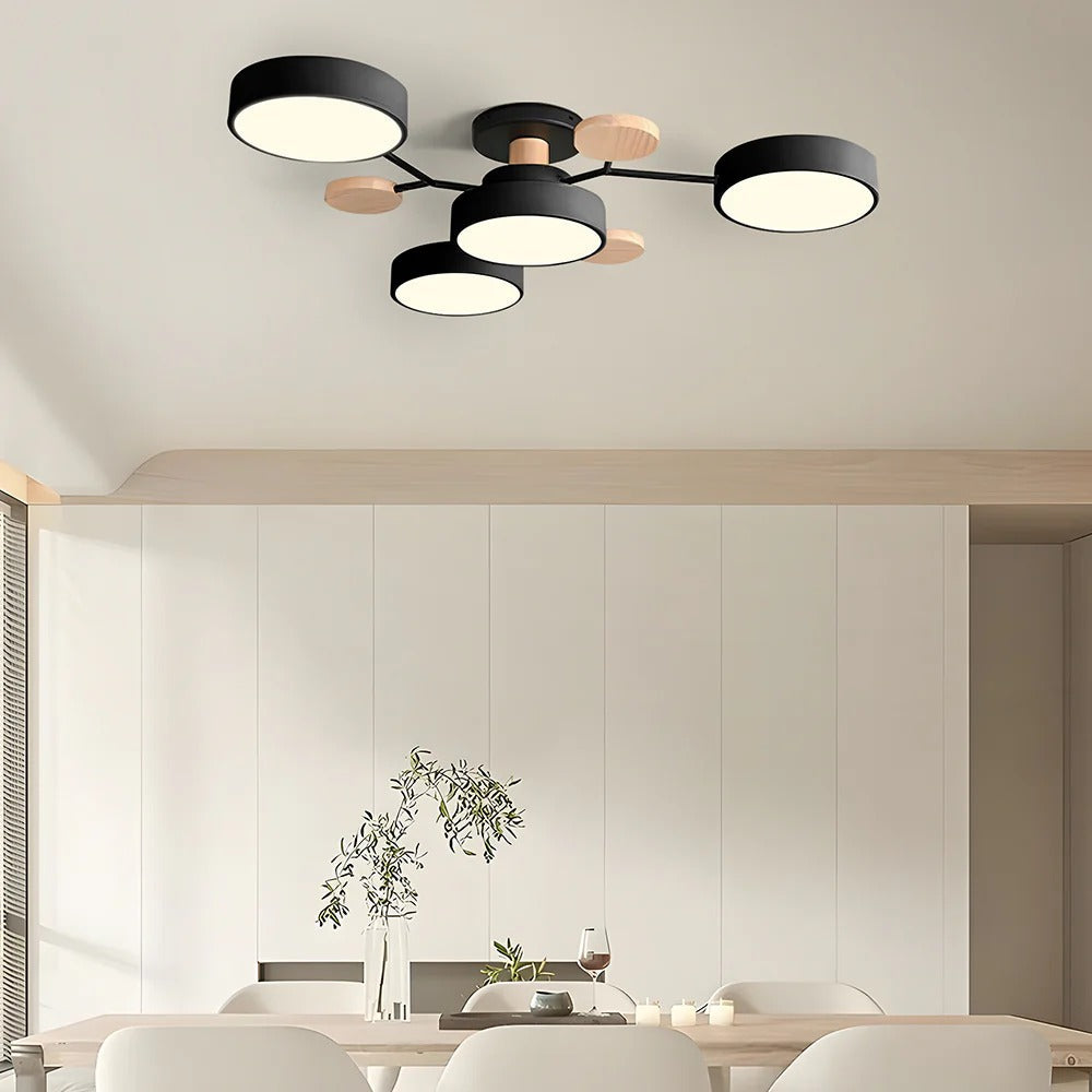 LED Modern Ceiling Light Fixture