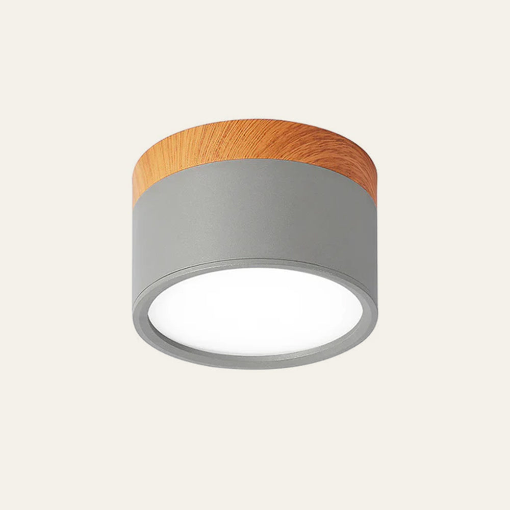 Compact Cylinder Flush Ceiling Lights for Stylish Illumination in Small Spaces – Modern Design and Energy Efficient