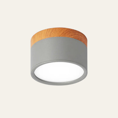LED Ceiling Light Modern Flush Mount Cylinder