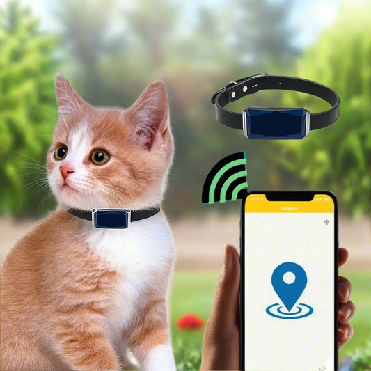 Collier pour animal en cuir avec traceur GPS en temps réel
