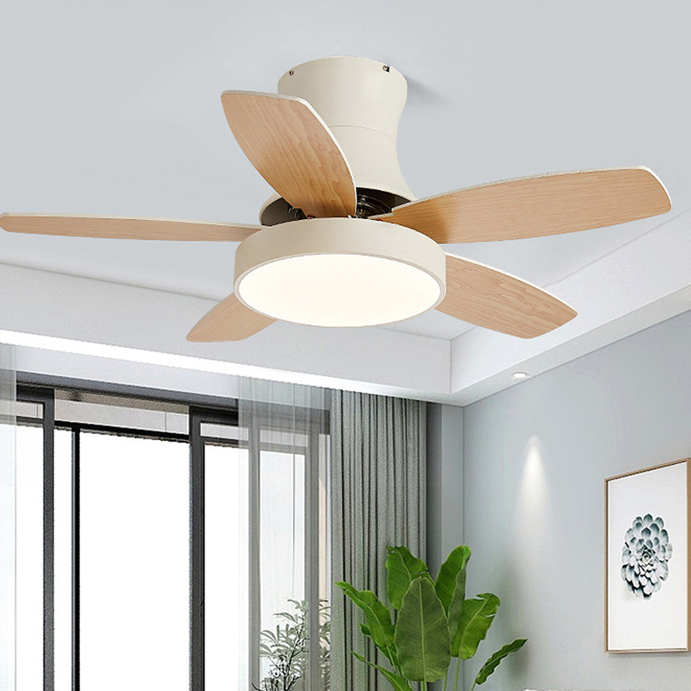 Acrylic Minimalist LED Ceiling Fan with Light for Stylish Bedroom Comfort and Modern Home Décor