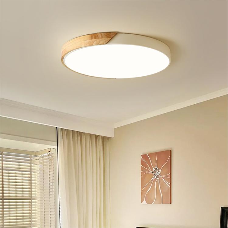 Vibrant LED Round Ceiling Lights – Colourful and Simple Illumination for Modern Homes and Spaces