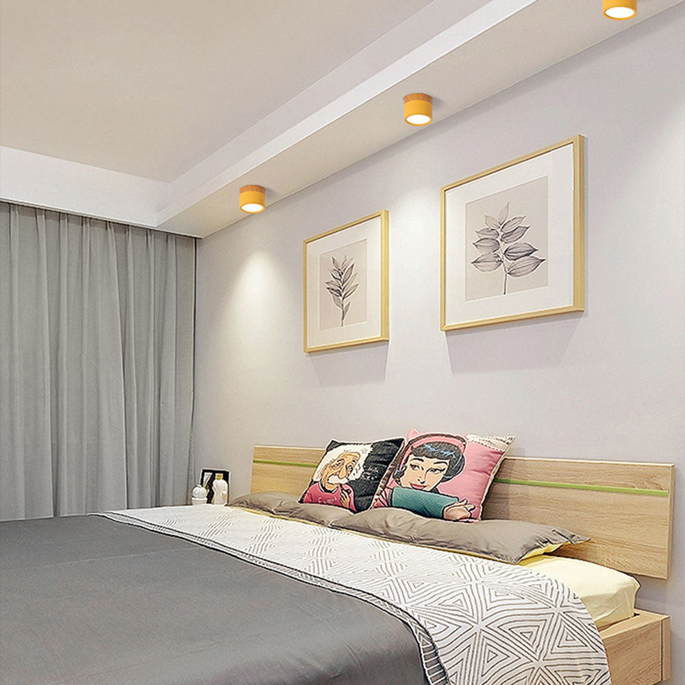 LED Ceiling Light Modern Flush Mount Cylinder