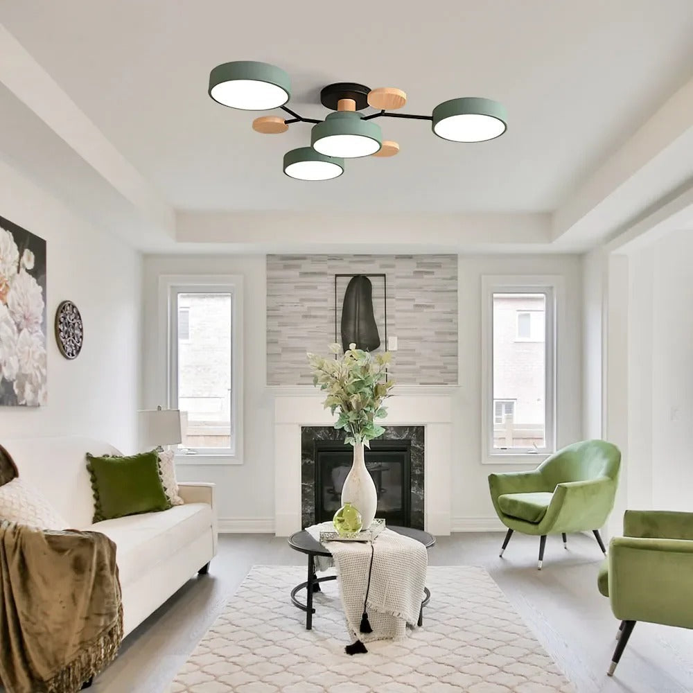 Ceiling Light Modern LED Flush Mount Chandelier