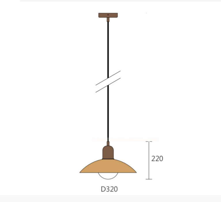 Pendant Light with Colourful Modern Metal Shade