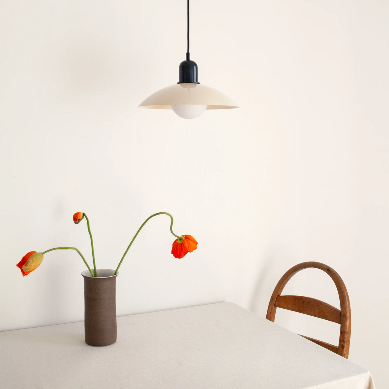 Pendant Light with Colourful Modern Metal Shade