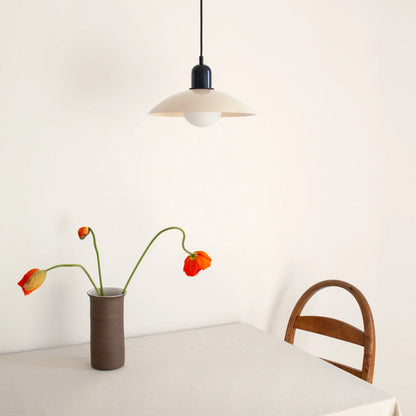 Pendant Light with Colourful Modern Metal Shade